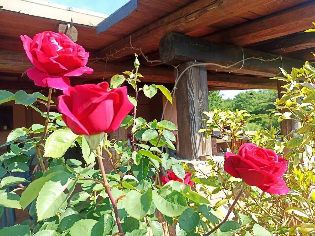 Agriturismo La Mandriana Villa Cura Nuova Italy