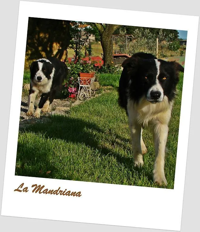 Agriturismo La Mandriana Villa Cura Nuova 0*,