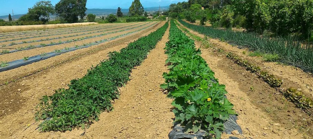 Agriturismo La Mandriana Villa Cura Nuova Farm stay