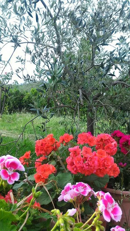 Farm stay Agriturismo La Mandriana Villa Cura Nuova